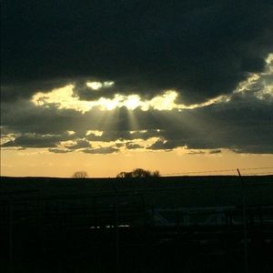 Meet your Posher, Carmen